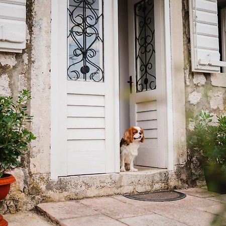 White Shutters House Villa Risan Bagian luar foto