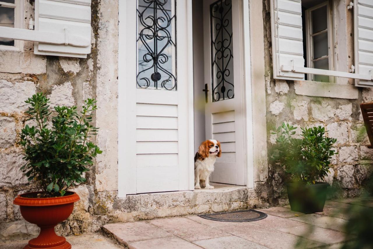 White Shutters House Villa Risan Bagian luar foto